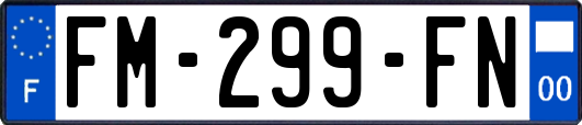 FM-299-FN