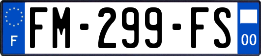 FM-299-FS