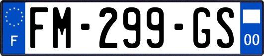 FM-299-GS