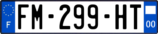 FM-299-HT