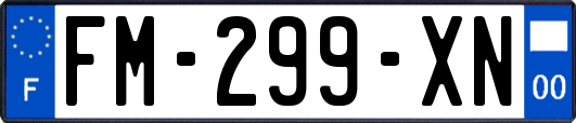 FM-299-XN