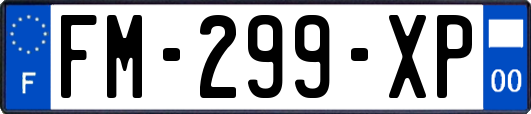 FM-299-XP