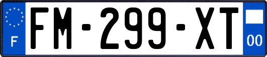 FM-299-XT
