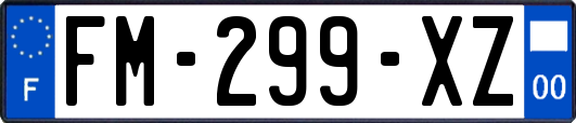 FM-299-XZ