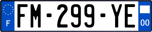 FM-299-YE