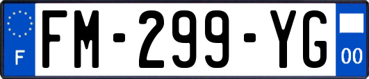 FM-299-YG