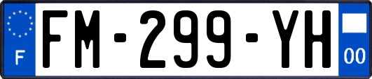 FM-299-YH