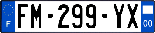 FM-299-YX