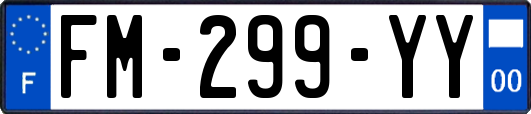 FM-299-YY