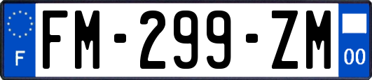 FM-299-ZM