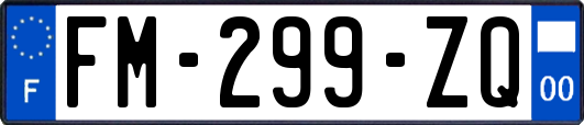 FM-299-ZQ