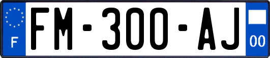 FM-300-AJ