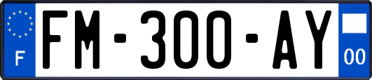 FM-300-AY