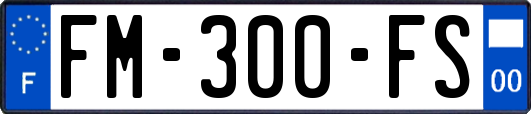 FM-300-FS