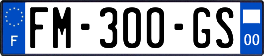 FM-300-GS