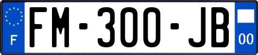 FM-300-JB