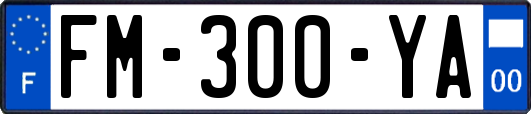FM-300-YA