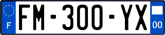 FM-300-YX