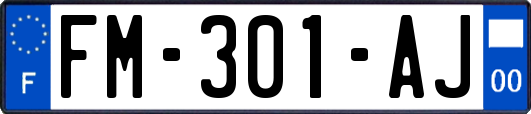 FM-301-AJ
