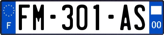 FM-301-AS