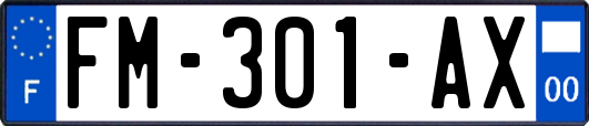 FM-301-AX