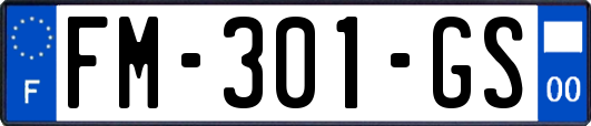 FM-301-GS