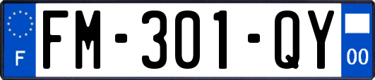 FM-301-QY