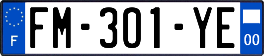 FM-301-YE