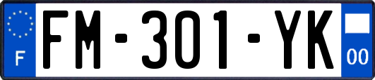 FM-301-YK