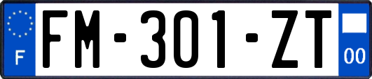 FM-301-ZT