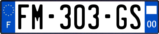 FM-303-GS