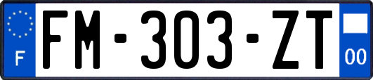 FM-303-ZT