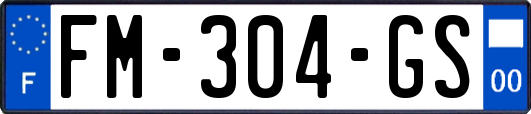 FM-304-GS