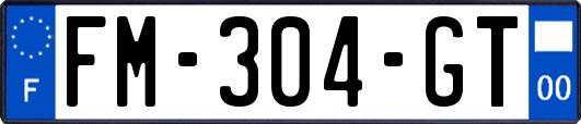 FM-304-GT