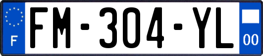 FM-304-YL