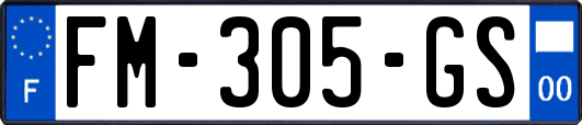 FM-305-GS