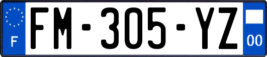 FM-305-YZ