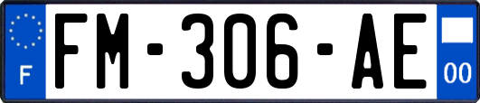 FM-306-AE