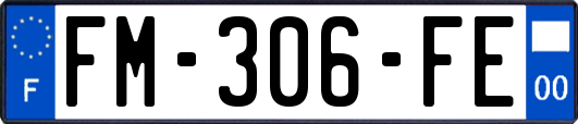 FM-306-FE