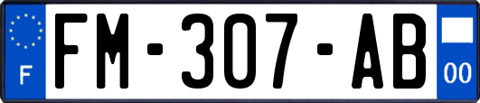 FM-307-AB