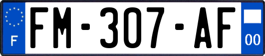 FM-307-AF