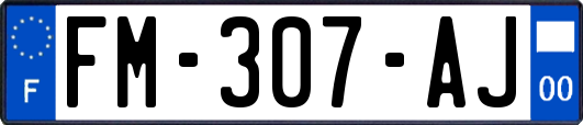 FM-307-AJ