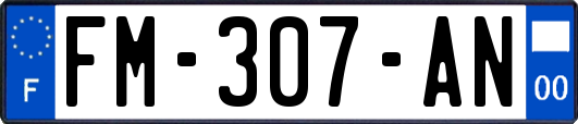 FM-307-AN