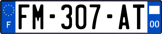 FM-307-AT