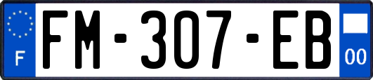 FM-307-EB