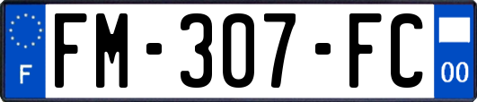 FM-307-FC