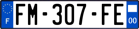 FM-307-FE