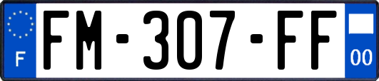 FM-307-FF