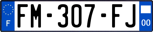 FM-307-FJ