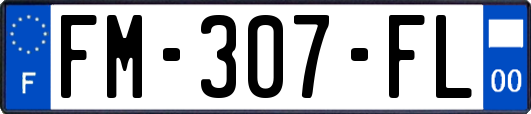 FM-307-FL